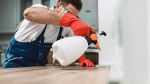 Best Termite Inspection and Treatment  in Greensburg, PA